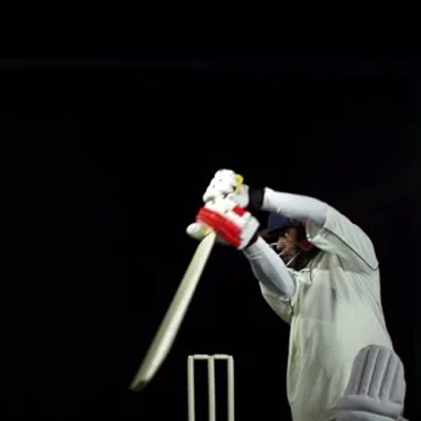 Cricket Stumps 32 inch with Bag