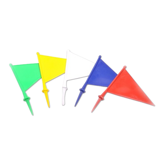 Colour boundary flags multicolour pack of 12