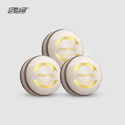 SLG Cricket leather Ball Practice